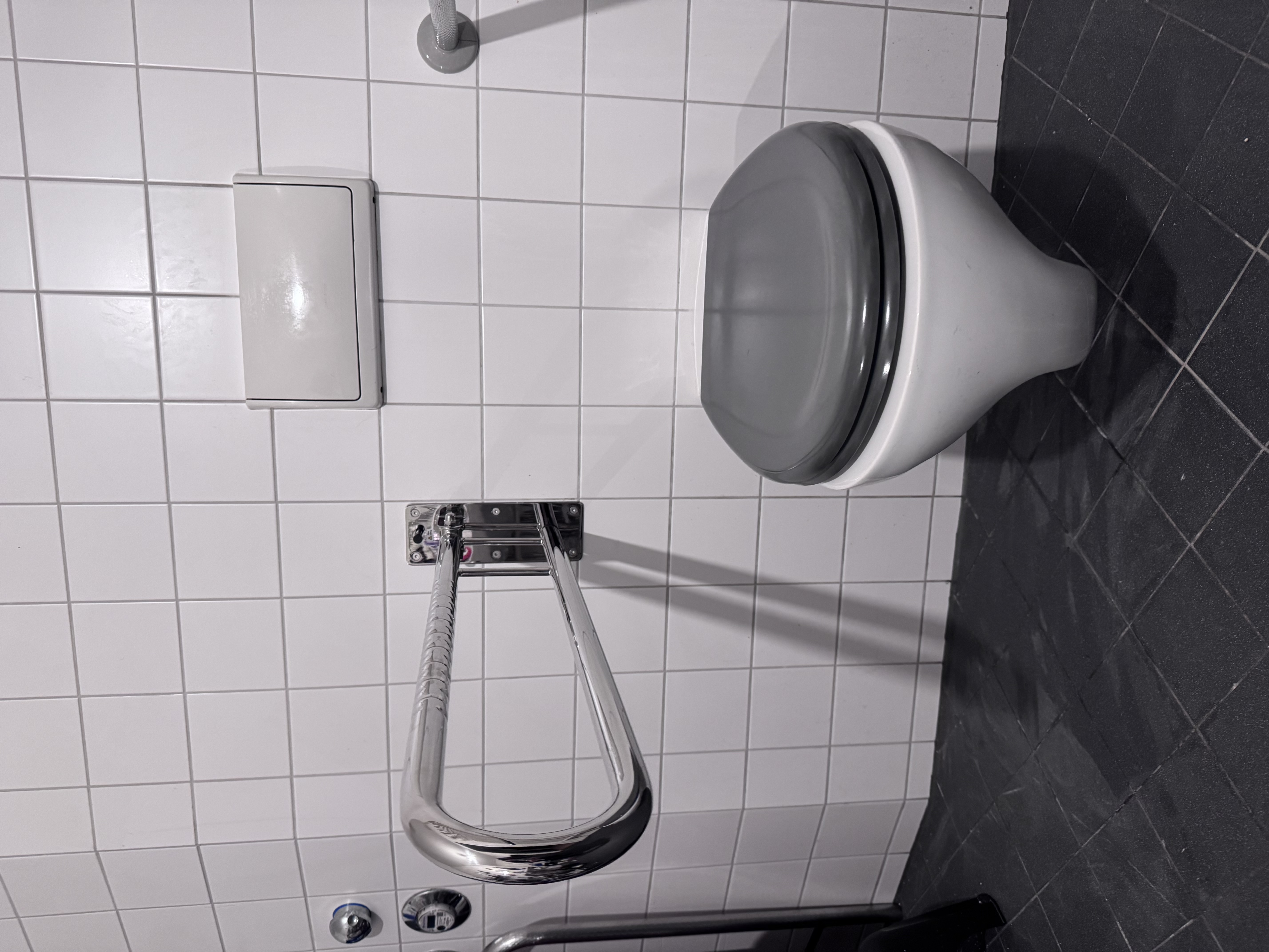 Haltegriff WC